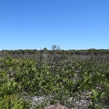 IMG 2986