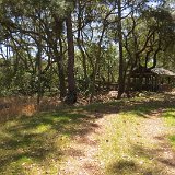 IMG 2987