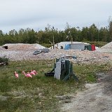 IMG 2812