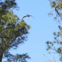 IMG 5648
