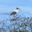 IMG 5691