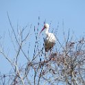 IMG 5695