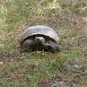 IMG 5787