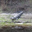 IMG 5797