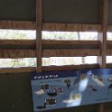 IMG 5921