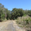 IMG 5933