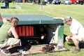 DSC03449 [318241]