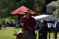 DSC03478 [319047]