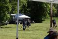 DSC05638 [320714]